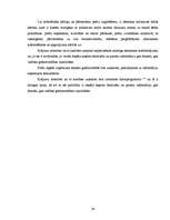 Prakses atskaite 'Prakses atskaite finanšu grāmatvedībā', 34.