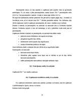 Prakses atskaite 'Prakses atskaite finanšu grāmatvedībā', 36.