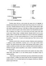 Referāts 'Francija', 11.