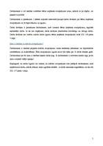 Referāts 'Atvaļinājumi', 7.