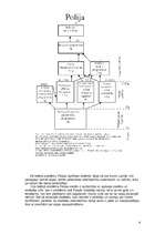 Referāts 'Polijas izglītības sistēma', 4.
