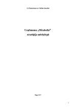 Referāts 'Uzņēmuma "Mirabella” stratēģija mērķtirgū', 1.