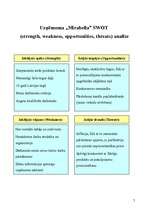 Referāts 'Uzņēmuma "Mirabella” stratēģija mērķtirgū', 7.