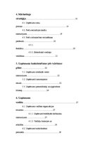 Biznesa plāns 'SIA "Danko"', 3.