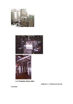 Biznesa plāns 'SIA "Danko"', 12.