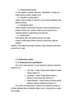 Biznesa plāns 'SIA "Danko"', 15.