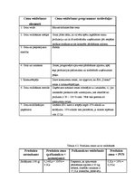 Biznesa plāns 'SIA "Danko"', 19.