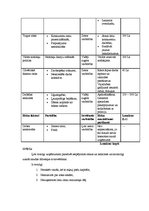 Biznesa plāns 'SIA "Danko"', 32.