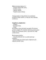 Konspekts 'Pacienta drošības pasākumi', 2.