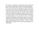 Konspekts 'Sporta nodarbības konspekts pirmsskolas izglītības iestādē', 4.