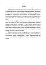 Referāts 'Informācijas tehnoloģiju pielietojums pedagoģijā: mācību materiālu sagatavošana', 3.