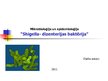 Prezentācija 'Shigella - dizentērijas baktērija', 1.