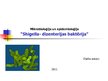 Prezentācija 'Shigella - dizentērijas baktērija', 1.