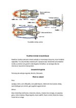 Konspekts 'Reaktīvie dzinēji', 3.