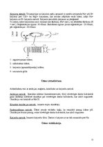 Referāts 'Ūdens apgāde un kanalizācija', 13.