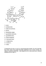 Referāts 'Ūdens apgāde un kanalizācija', 24.