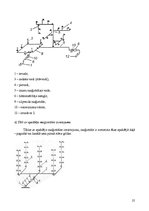 Referāts 'Ūdens apgāde un kanalizācija', 25.