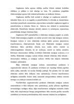 Diplomdarbs 'Investīciju loma uzņēmumu attīstībā ar piemēru', 40.