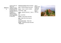 Konspekts 'Mūzikas attīstība Balkānu valstīs', 6.