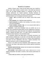 Referāts 'Bezdarbs Latvijā', 4.