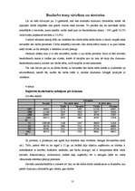 Referāts 'Bezdarbs Latvijā', 13.