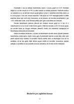 Referāts 'Bezdarbs Latvijā', 15.