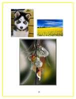 Referāts 'Estētiskās vērtības', 8.