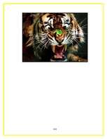 Referāts 'Estētiskās vērtības', 22.