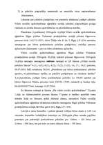 Diplomdarbs 'Valsts sociālie pabalsti', 48.