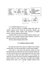 Diplomdarbs 'SIA "X" stratēģiskā vadīšana un tās pilnveidošana', 18.