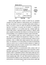 Diplomdarbs 'SIA "X" stratēģiskā vadīšana un tās pilnveidošana', 64.