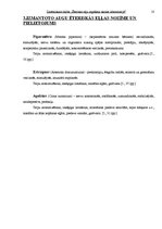 Referāts 'Ēterisko eļļu iegūšana skolas laboratorijā', 10.