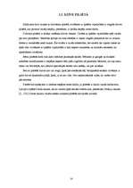 Referāts 'Sabiedrība un cilvēki ar īpašām vajadzībām', 14.