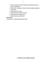 Referāts 'Līderība, tās loma uzņēmumā', 5.