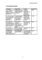 Biznesa plāns 'Pasākuma projekts - "Atmodināsim Rēzekni"', 4.