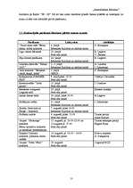 Biznesa plāns 'Pasākuma projekts - "Atmodināsim Rēzekni"', 13.