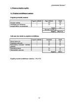 Biznesa plāns 'Pasākuma projekts - "Atmodināsim Rēzekni"', 14.