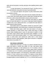 Referāts 'Zemes reforma pilsētās', 7.