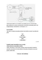 Konspekts 'Kas ir komunikācija? Komunikācijas veidi, skaidrojumi un modeļi', 3.