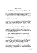 Referāts 'Nozīmīgākie atklājumi bioloģijā pēdējo 20 gadu laikā', 3.