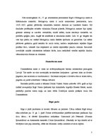 Referāts 'Arhitektūra Kurzemes hercogistē', 7.