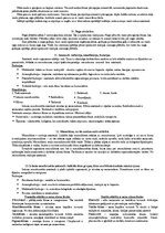 Konspekts 'Histoloģija un embrioloģija', 4.