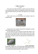 Referāts 'Kulta vietas Latvijā', 14.