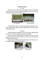 Referāts 'Kulta vietas Latvijā', 16.