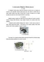 Referāts 'Kulta vietas Latvijā', 18.