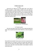 Referāts 'Kulta vietas Latvijā', 23.