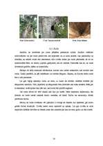 Referāts 'Kulta vietas Latvijā', 24.