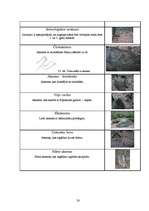 Referāts 'Kulta vietas Latvijā', 28.