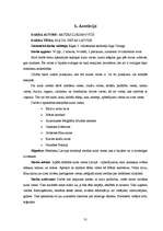 Referāts 'Kulta vietas Latvijā', 31.