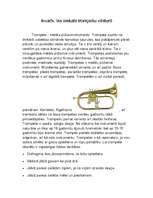 Konspekts 'Konspekts par trompešu attīstību', 3.